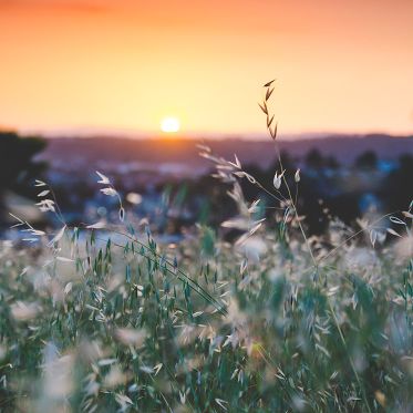 Dolce sentire Michela Galeotti