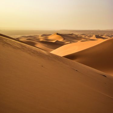 Saharan Dream Michela Galeotti
